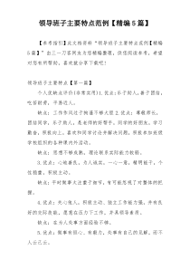 领导班子主要特点范例【精编5篇】
