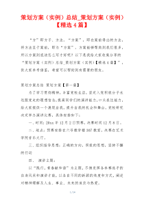 策划方案（实例）总结_策划方案（实例）【精选4篇】