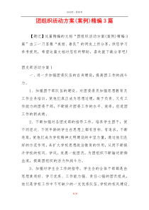 团组织活动方案(案例)精编3篇