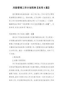 风险管理工作计划范例【实用4篇】