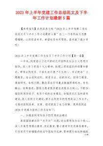 2023年上半年党建工作总结范文及下半年工作计划最新5篇
