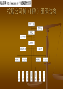企业集团内部会计控制讲课提纲