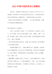 2023年高中我的军训心得感悟