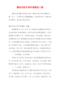 廉政风险外部环境精选4篇