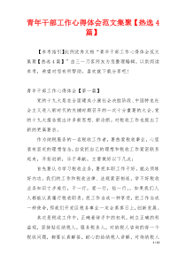 青年干部工作心得体会范文集聚【热选4篇】