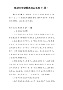 组织生活会整改报告范例（4篇）