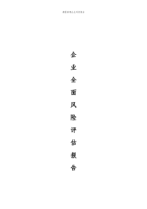 全面风险评估与内控报告模板