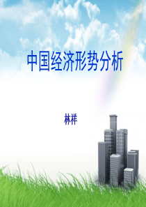 XXXX年宏观经济分析