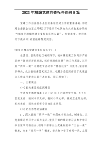 2023年精编党建自查报告范例5篇