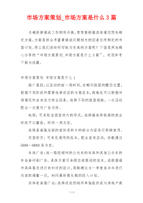 市场方案策划_市场方案是什么3篇