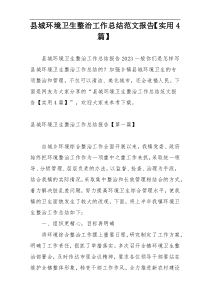 县城环境卫生整治工作总结范文报告【实用4篇】