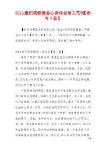 2023组织观看镜鉴心得体会范文范例【参考4篇】