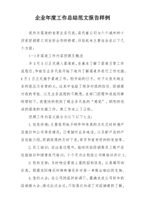 企业年度工作总结范文报告样例