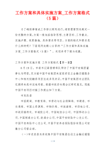 工作方案和具体实施方案_工作方案格式（5篇）