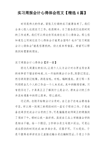 实习周报会计心得体会范文【精选4篇】