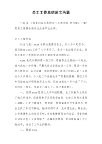 员工工作总结范文两篇
