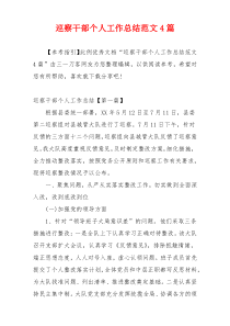 巡察干部个人工作总结范文4篇