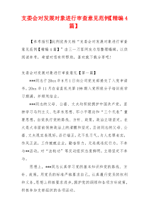 支委会对发展对象进行审查意见范例【精编4篇】
