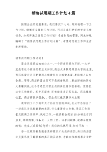 销售试用期工作计划4篇