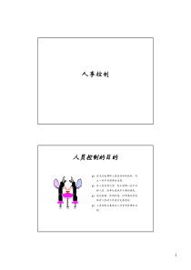 内部控制二下