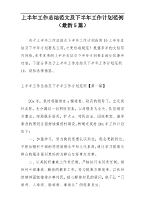上半年工作总结范文及下半年工作计划范例（最新5篇）