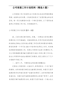 公司客服工作计划范例（精选5篇）