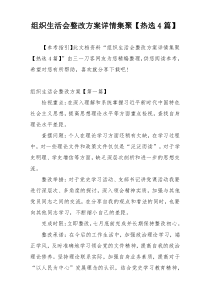 组织生活会整改方案详情集聚【热选4篇】