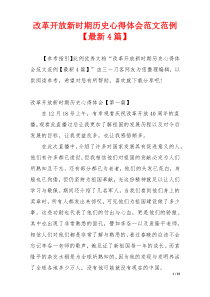 改革开放新时期历史心得体会范文范例【最新4篇】