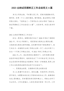 2023出纳试用期转正工作总结范文4篇