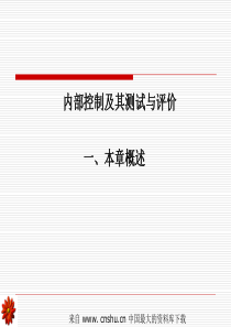 内部控制及其测试与评价--内部控制定义与内部控制目标(ppt 43)(1)
