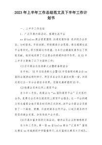 2023年上半年工作总结范文及下半年工作计划书