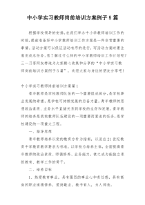 中小学实习教师岗前培训方案例子5篇