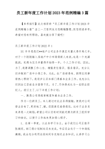 员工新年度工作计划2023年范例精编3篇