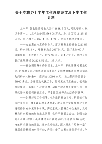 关于党政办上半年工作总结范文及下步工作计划