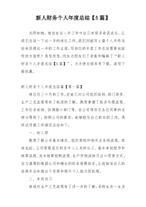 新人财务个人年度总结【5篇】