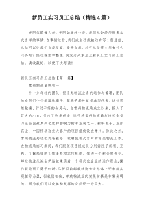 新员工实习员工总结（精选4篇）