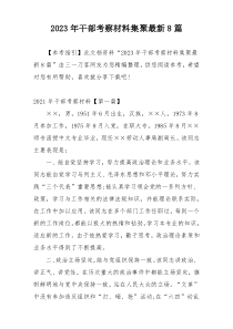2023年干部考察材料集聚最新8篇