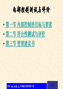 内部控制测试与评价(ppt 21)
