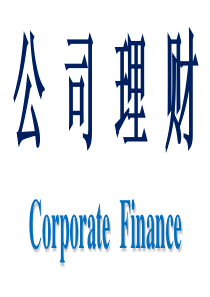 第一章公司理财概述
