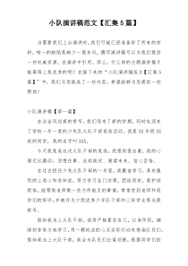小队演讲稿范文【汇集5篇】