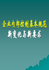 内部控制规范指引