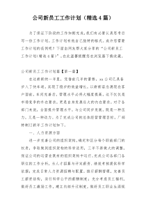 公司新员工工作计划（精选4篇）