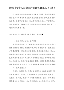 [800字]个人安全生产心得体会范文（4篇）