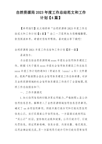 自然资源局2023年度工作总结范文和工作计划【4篇】