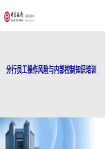 分行操作风险与内控知识培训XXXX0331