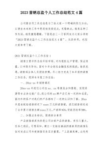 2023营销总监个人工作总结范文4篇