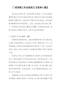 厂试用期工作总结范文【范例5篇】