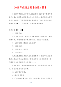 2023年促销方案【热选4篇】