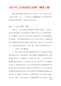 2023年工作总结范文范例（精选5篇）