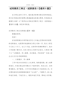 试用期员工转正（述职报告）【通用5篇】